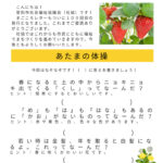 20250321-02 magokoroLetter100のサムネイル