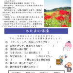 20250819-02 magokoroletter105のサムネイル