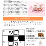 20260301-02 magokoroletter111のサムネイル