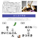 20260501-02 magokoroletter113のサムネイル